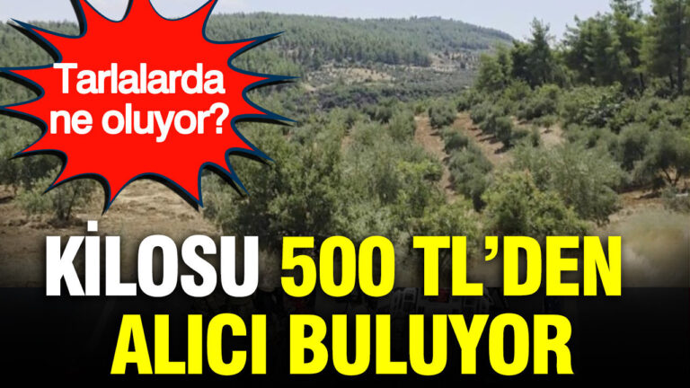 haber-gorseli-1787057956639